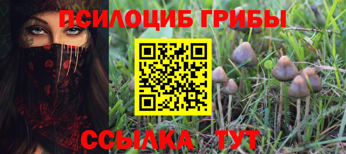 Галлюциногенные грибы мицелий  Галлюциногенные грибы GOLDEN TEACHER  Вход с VPN  Зеленокумск 