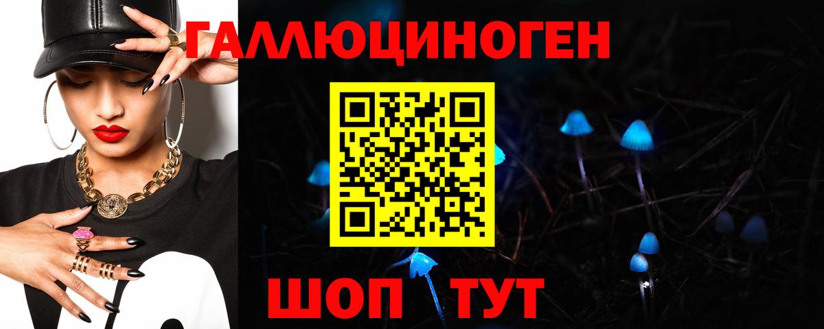 Альфа ПВП Зеленокумск